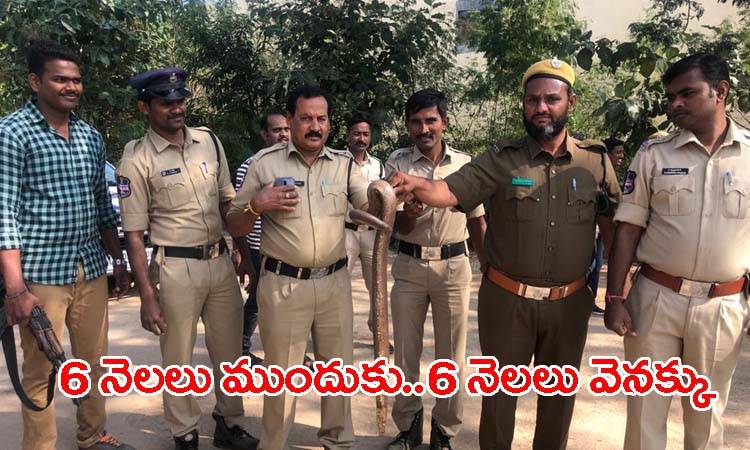 రెండు త‌ల‌ల‌పాము కోట్ల‌ల్లో ప‌లుకుతున్న ధ‌ర‌