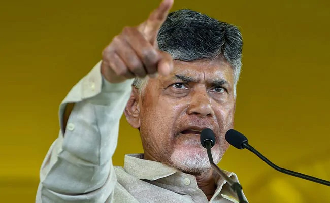 Does chandrababu have information on jamili elections from central govt?