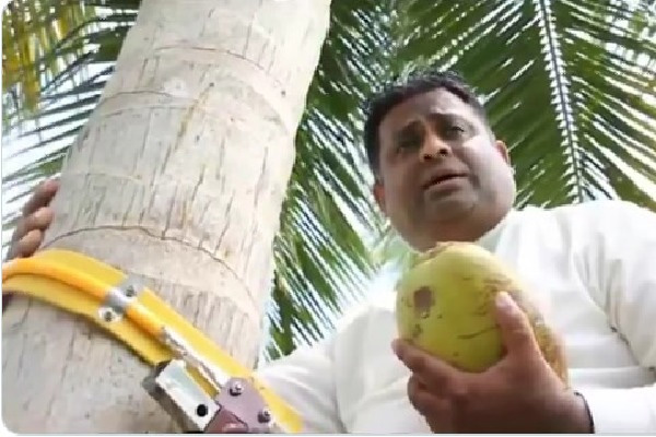 Srilanka minister conducted press conference from top of coconut tree