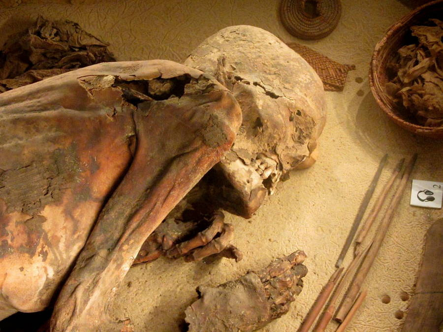 5,600-Year-Old Mummy Reveals Oldest Egyptian Embalming Recipe Ever Found