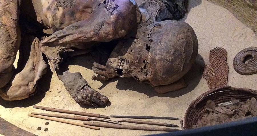 5,600-Year-Old Mummy Reveals Oldest Egyptian Embalming Recipe Ever Found
