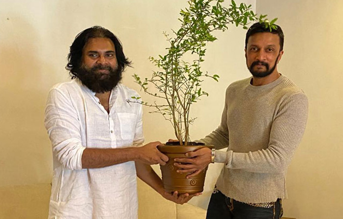 kannada actor kicha sudeep meets pawan kalyan