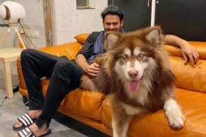 Charmy Kaur Shared Prabhas Pic With Her Pet