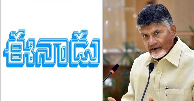 Yellow media cover drive over Cag report on Chandrababu Naidu
