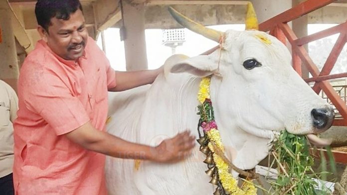 BJP MLA Raja singh sentenced to one year in jail in beef festival controversy