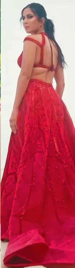 Katrina Kaif Red Dress Pics