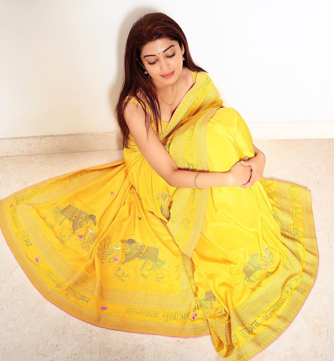 Pranitha Subhash glamorous pics