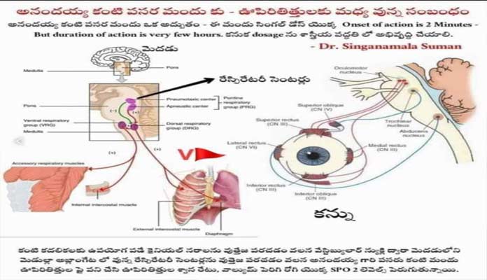 Clear Explanation Of Anandaiah medicine