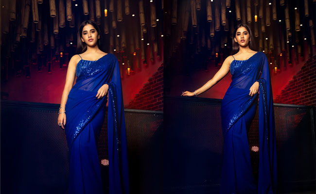 Nabha Natesh Mesmerizing every one with her New Photoshoot In Blue Saree