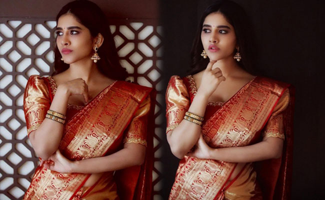 Nabha Natesh Looking Shiny in a Silk Saree
