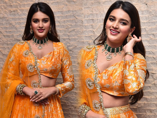 Nidhi Agerwal Looks Awesome in Yellow Dress