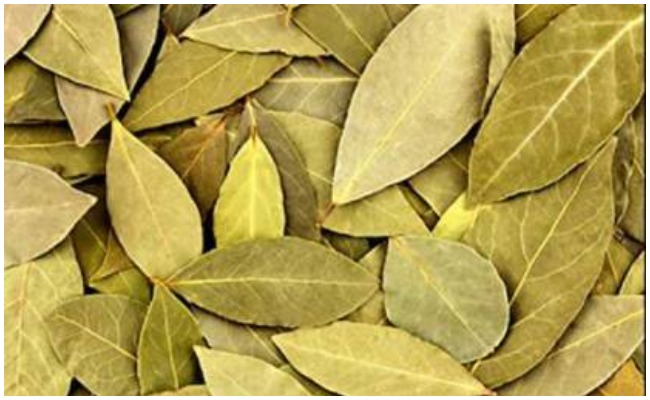 Biryani Leaves: మధుమేహ వ్యాధి నియంత్రణలో ఉంచే బిర్యానీ ఆకులు… వీటి ప్రయోజనాలు ఎన్నో!