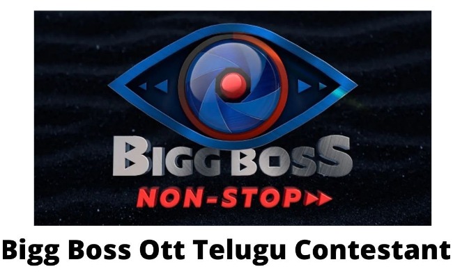 Bigg Boss Ott: బిగ్ బాస్ ఓటీటీ ఫైనల్ కంటెస్టెంట్లు వీరే..!