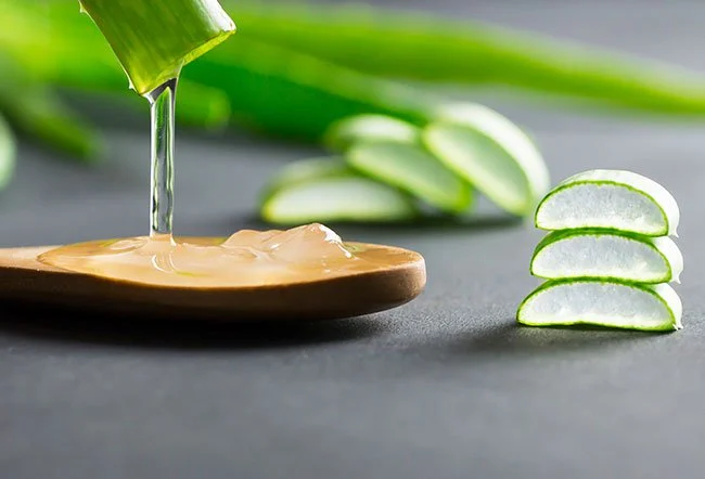 what-are-the-benefits-of-aloe-vera