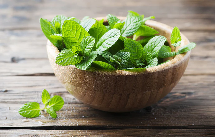 10-Health-Benefits-of-Pudina-Mint-Leaves-You-Must-Know_345x345@2x