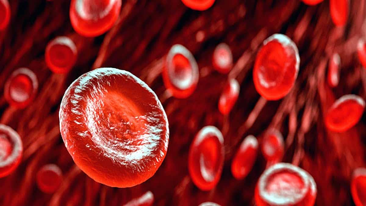 red_blood_cells_9-sixteen_nine