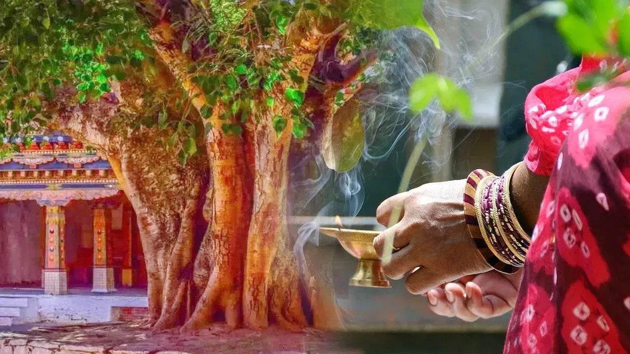 Peepal Tree: ఏంటి.. రాత్రుళ్లు రావిచెట్టు పై దృష్ట శక్తులు నివసిస్తాయా.. ఇందులో నిజమెంత?