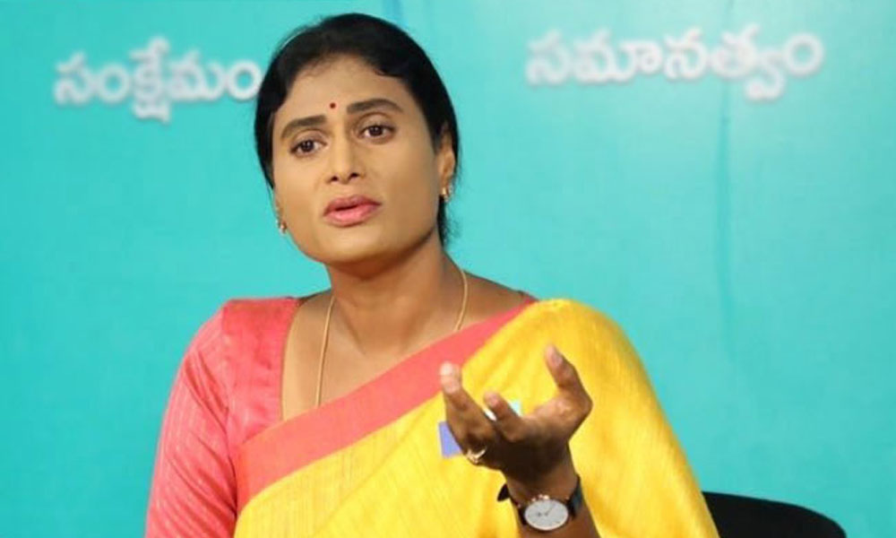 YS Sharmila: సజ్జల భార్గవ్ జగన్ ఇంట్లో దాక్కున్న అరెస్ట్ చేయాల్సిందే.. డిమాండ్ చేస్తున్న షర్మిల?